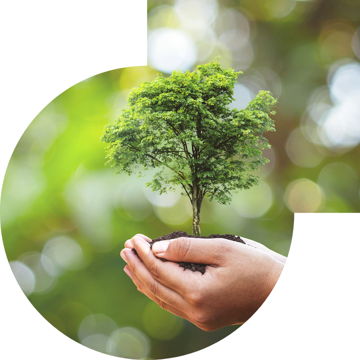 关怀人类、文化、环境与社会